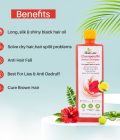 CHEMPARUTHI SHAMPOO - Image 2